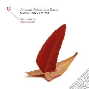 (LP Vinile) Johann Sebastian Bach - Mottetti Bwv 225 - 230 (2 Lp) lp vinile di Johann sebastia Bach