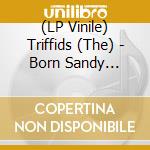 (LP Vinile) Triffids (The) - Born Sandy Devotional vinile