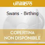 Swans - Birthing cd