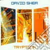 Shea David - Tryptich cd