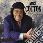 How long can a fool go wrong cd