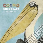 Cosmo Sheldrake - Pelicans We (12" Lp)