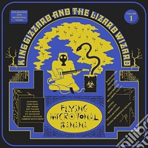 King Gizzard & The Lizard Wizard - Flying Microtonal Banana cd musicale di King Gizzard & The Lizard Wizard