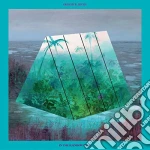 (LP Vinile) Okkervill River - In The Rainbow Rain