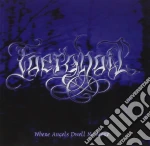 Faerghail - Where Angels Dwell No More cd