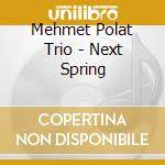 Mehmet Polat Trio - Next Spring cd