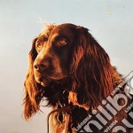 (LP Vinile) Peter Kernel - Size Of The Night