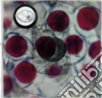 Coil - Porto cd