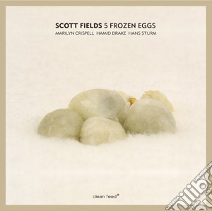 Scott Fields - 5 Frozen Eggs cd musicale di Scott Fields