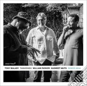 Tony Malaby Tamarind - Somos Agua cd musicale di Tony malaby tamarind
