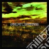 Jamie Saft - Ticonderoga cd