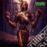 Inbreeding Rednecks - Abnormal Life Portrayed cd