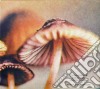 Steven Bernstein - Tattoos And Mushrooms cd