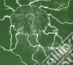 Travelling Tribes - Everything Seems To Change cd
