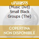 (Music Dvd) Small Black Groups (The) cd musicale