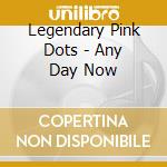 Legendary Pink Dots - Any Day Now cd