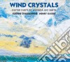 Eugene Chadbourne / Henry Kaiser - Wind Crystals. Guitar Duets By Wadada Leo Smith cd