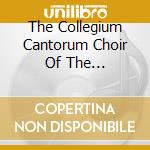 The Collegium Cantorum Choir Of The Czestochowa Philharmonic - Luciuk: Antiphonae Apocalypsis cd musicale
