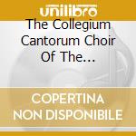The Collegium Cantorum Choir Of The Czestochowa Philharmonic - Luciuk: Antiphonae Apocalypsis cd
