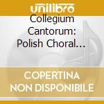 Collegium Cantorum: Polish Choral Lyricism cd