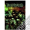 (Music Dvd) Decapitated - Human's Dust cd