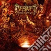 Besatt - Tempus Apocalypsis cd musicale di Besatt