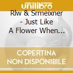 Rlw & Srmeixner - Just Like A Flower When Winter Begins cd musicale di Rlw & Srmeixner