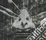 Frisch/wehowsky - Which Head You Are Dancing In? cd