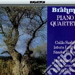 Brahms Johannes - Quartetto Per Piano N.1 Op 25 (1861) In (2 Cd) cd