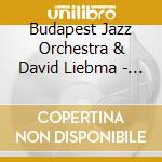 Budapest Jazz Orchestra & David Liebma - Human Circle (The Wayfarer) cd musicale di Budapest Jazz Orchestra & David Liebma