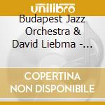 Budapest Jazz Orchestra & David Liebma - Human Circle (The Wayfarer) cd