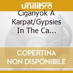 Ciganyok A Karpat/Gypsies In The Ca / Various cd