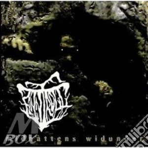 Midnattens Widunder cd musicale di FINNTROLL