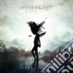 Ashent - Flaws Of Elation