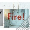 Fire! - You Liked Me Five Minutes Ago cd