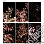 (LP Vinile) Arve Henriksen - Solidification - Box 7lp + Dvd (7 Lp) vinile