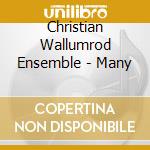 Christian Wallumrod Ensemble - Many cd