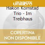Hakon Kornstad Trio - Im Treibhaus cd musicale di Kornstad Trio, Hakon