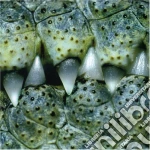Dirty Callahans - Fucked Up And Standing cd