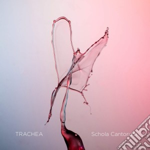 Schola Cantorum: Trachea (Cd+Blu-Ray Audio) cd musicale