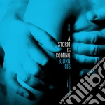 Bjorn Riis - A Storm Is Coming (Limited Digisleeve) cd