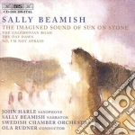 Musica Orchestrale cd