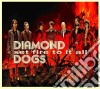 Diamond Dogs - Set Fire To It All cd