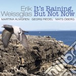 Erik Weissglas - It'S Raining, But Not Now