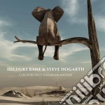 Isildurs Bane & Steve Hogarth - Colours Not Found In Nature cd