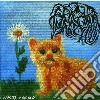 Fricara Pacchu - Stories Of The Old (7') cd