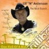 Ulf 'M' Andersson - One Hell Of A Ride cd