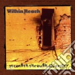 Within Reach - Strenght Through Diversity