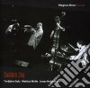 Magnus Broo Quartet - Sudden Joy cd