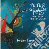 Peter Gullin Trio - From Time To Time cd